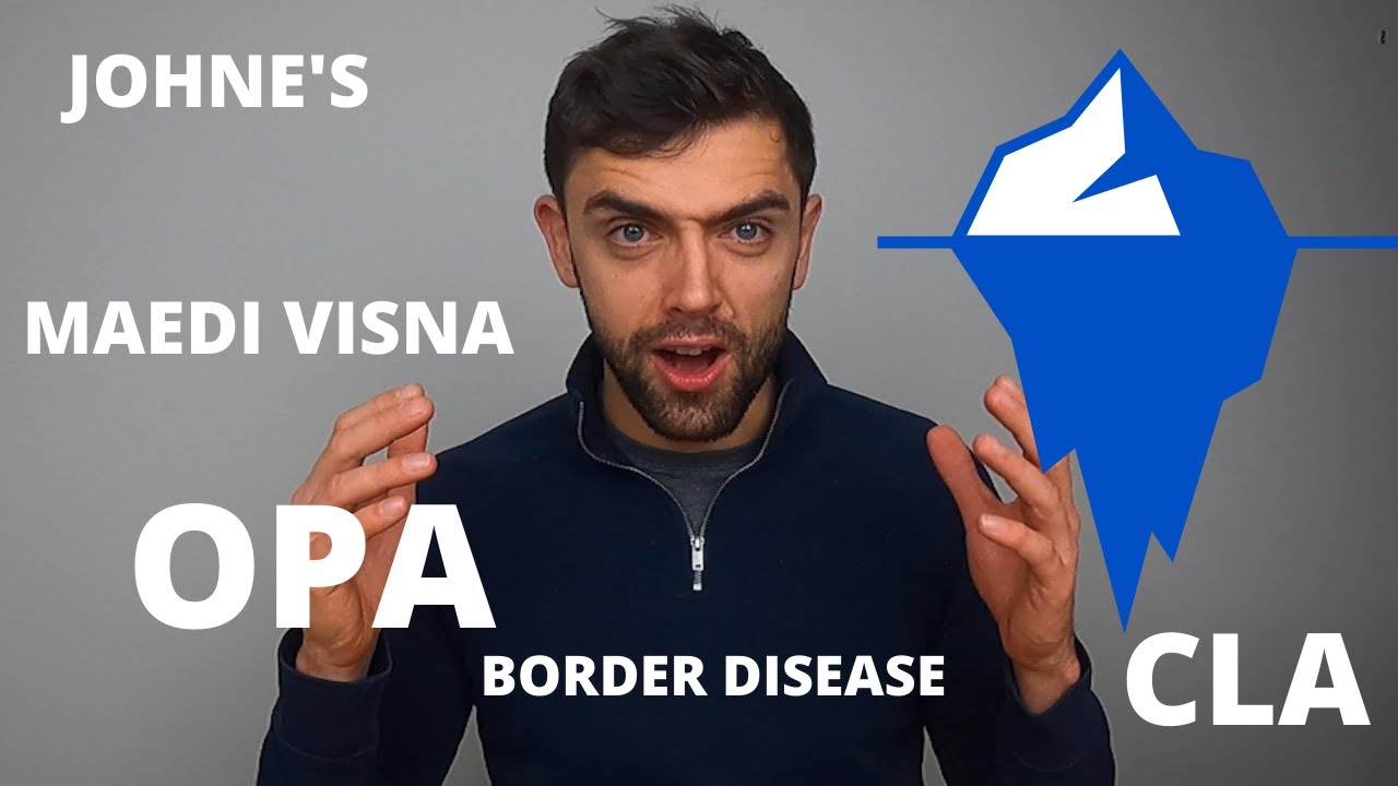 THE ICEBERG DISEASES | TECHNICAL #32