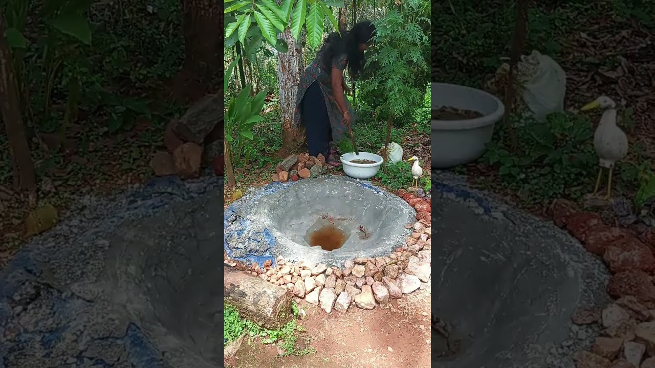 അങ്ങനെ കുളം ചാണകം നിറച്ച് ഏതാണ്ട് 