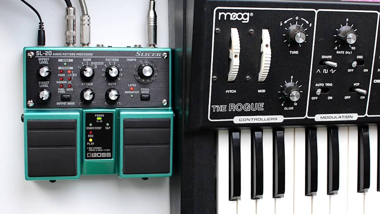 Boss SL-20 slicer with Moog the Rogue