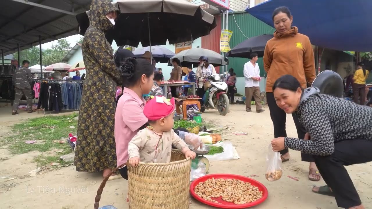 Single Mom in the Countryside: Rural Life of Catching Coconut Grubs to Survive