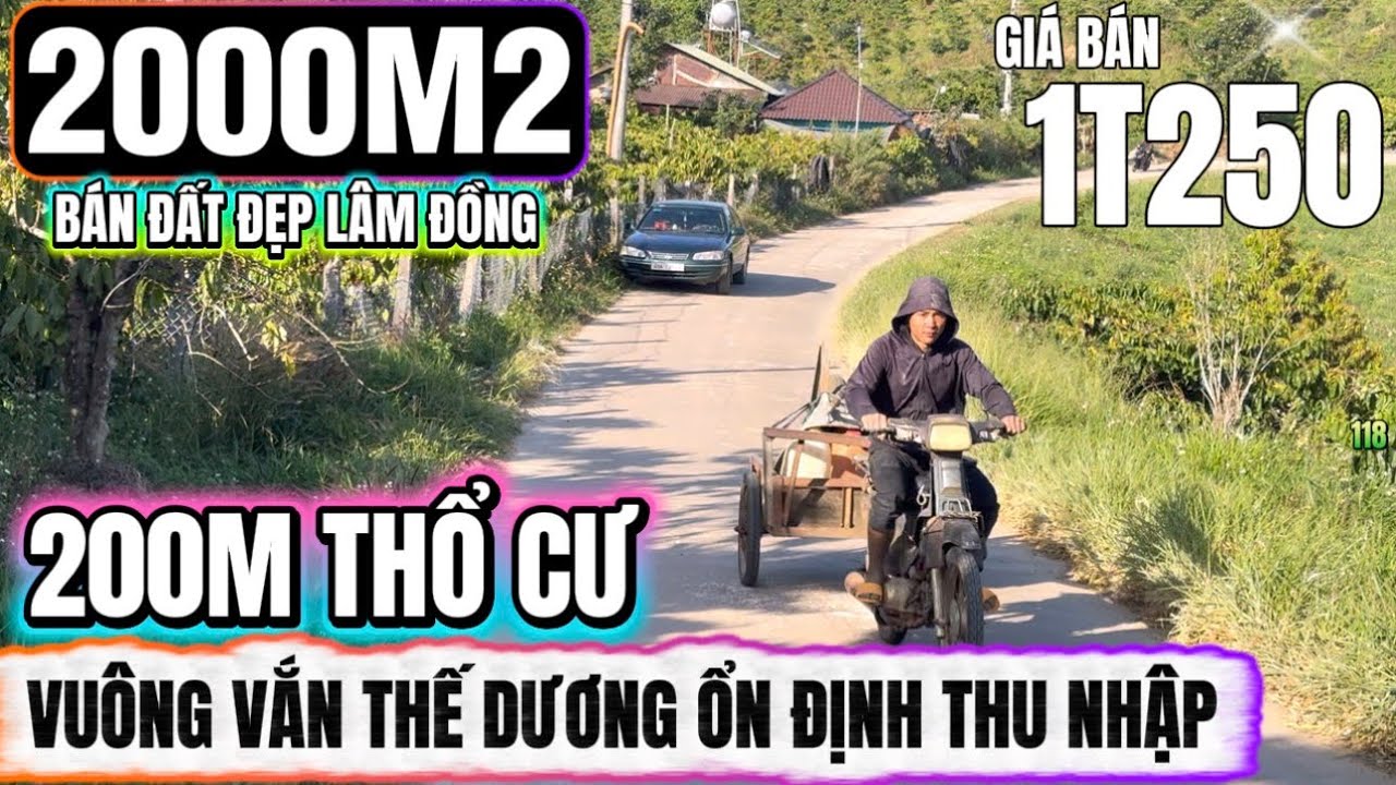 🔴Bán đất đẹp lâm đồng hơn 2000m2 sẵn 200m thổ cư thế dương nguồn thu ổn định đẹp Lh 0379 590 939