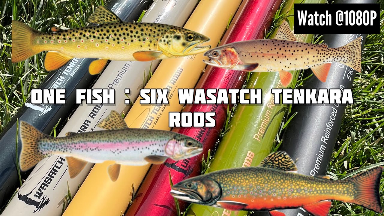 One Fish : Six Wasatch Tenkara Rods #tenkara
