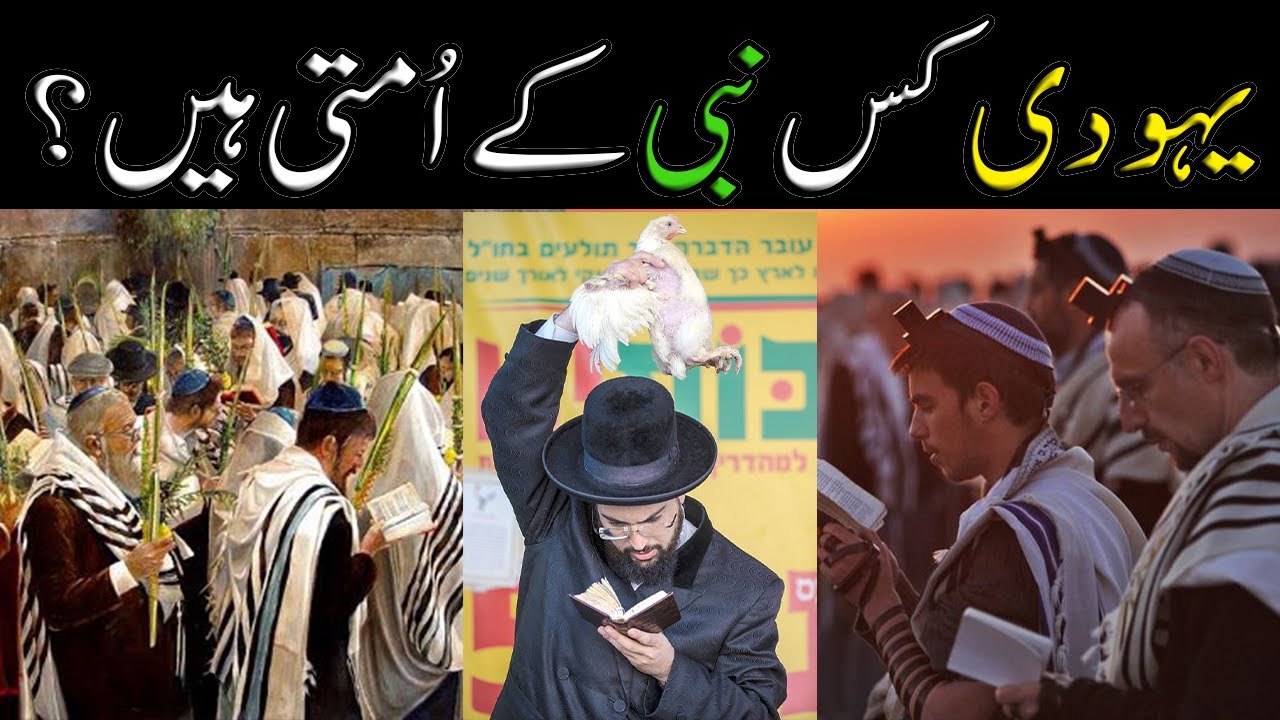 یہودی کس نبی کے اُمتی ہیں؟yhodi kis nabi ke umti hain?🤔#sheezaliaqattv