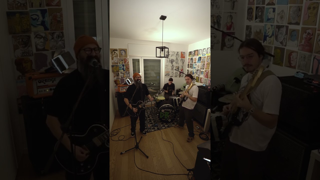 DECARDINALS - Bevo solo - Live in studio