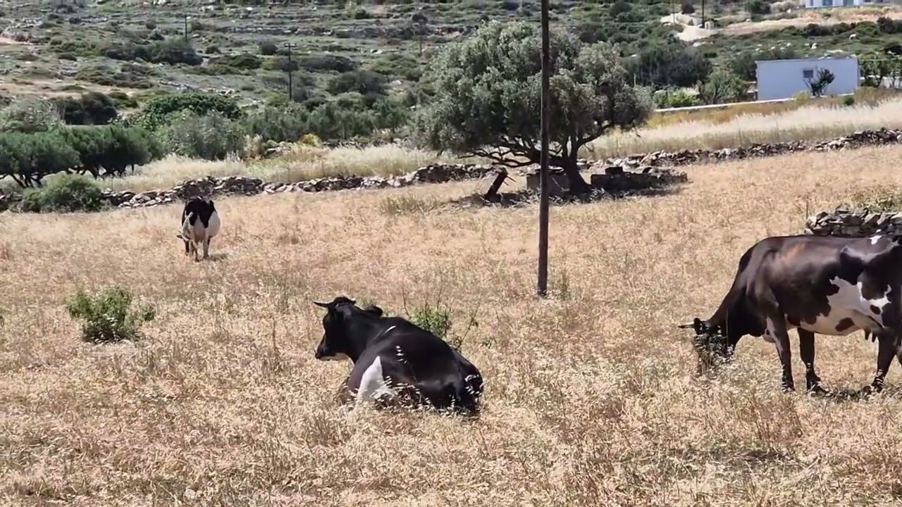 Byzantine Way -Paros