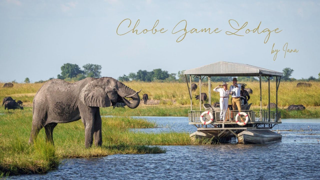 Chobe Game Lodge : entre rivi&egrave;re, safaris et confort raffin&eacute; | Des Routes & des R&ecirc;ves by Iana