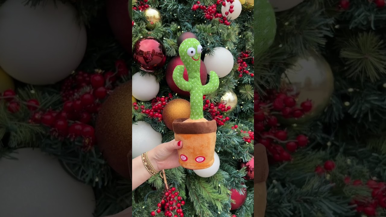 Dancing and talking cactus 🌵 #cactus #dancingcactus #christmasgift #christmasgifts #giftidea