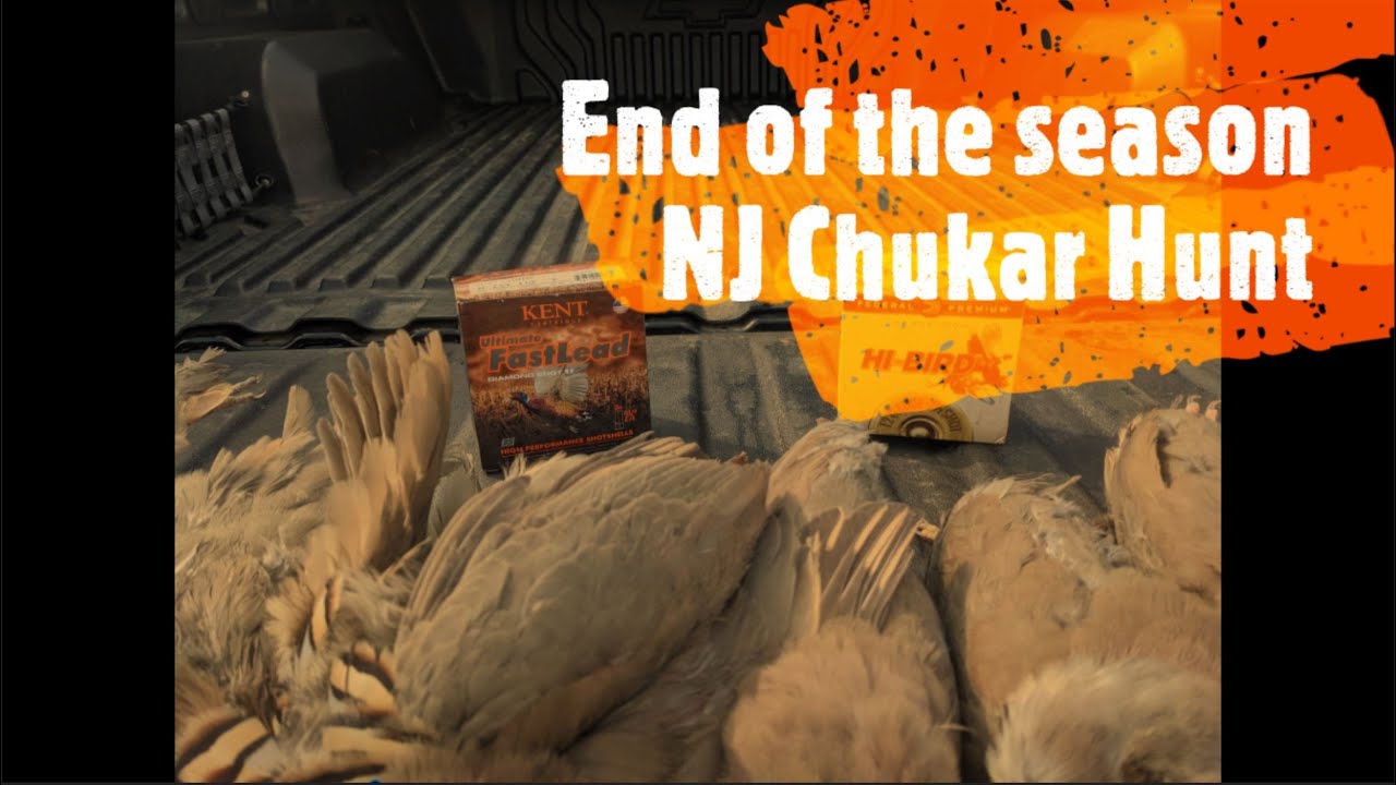 End Of Season 20-21 hunting season - NJ Chukar Hunt