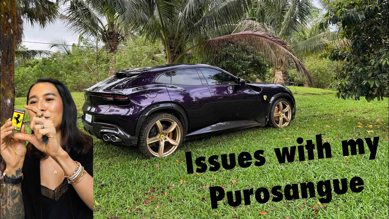 I love my Purosangue! BUT...