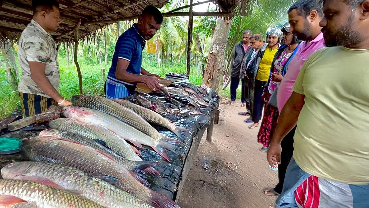 MUST SEE! A Fish Vendor's UNSEEN Morning Ritual at the Market!