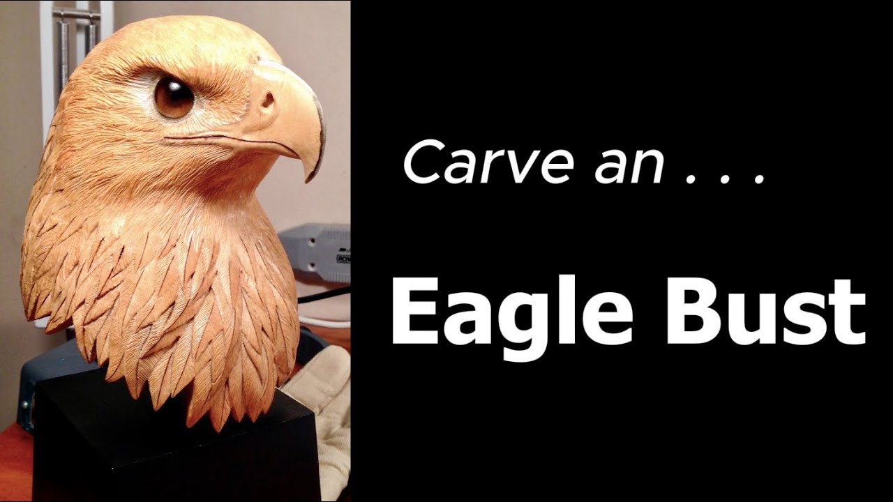 CARVE an EAGLE BUST: photos of steps and progress in carving a life-sized detailed head study.