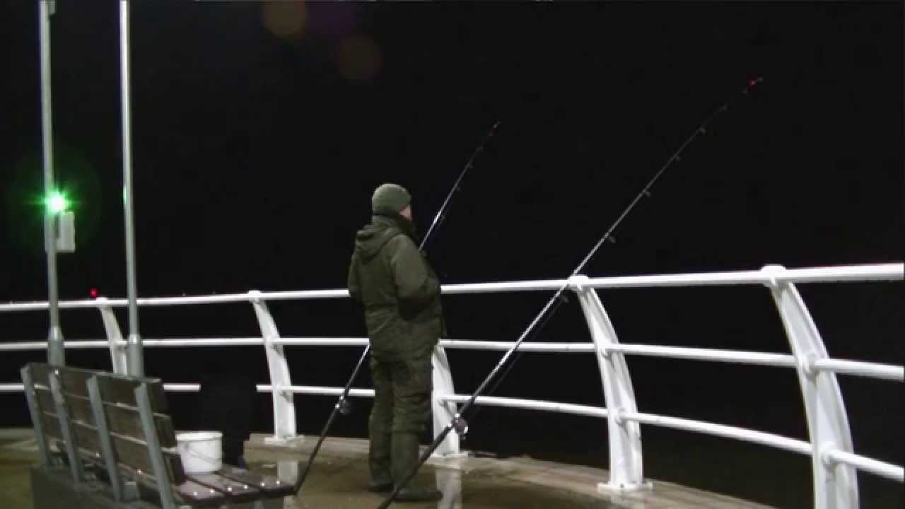 Rhyl harbour - flounder, rockling, cod and whiting