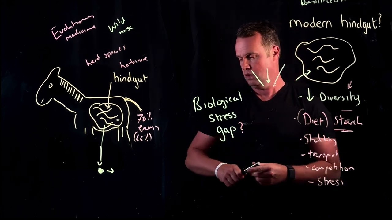 Why I love Precision Microbes equine product