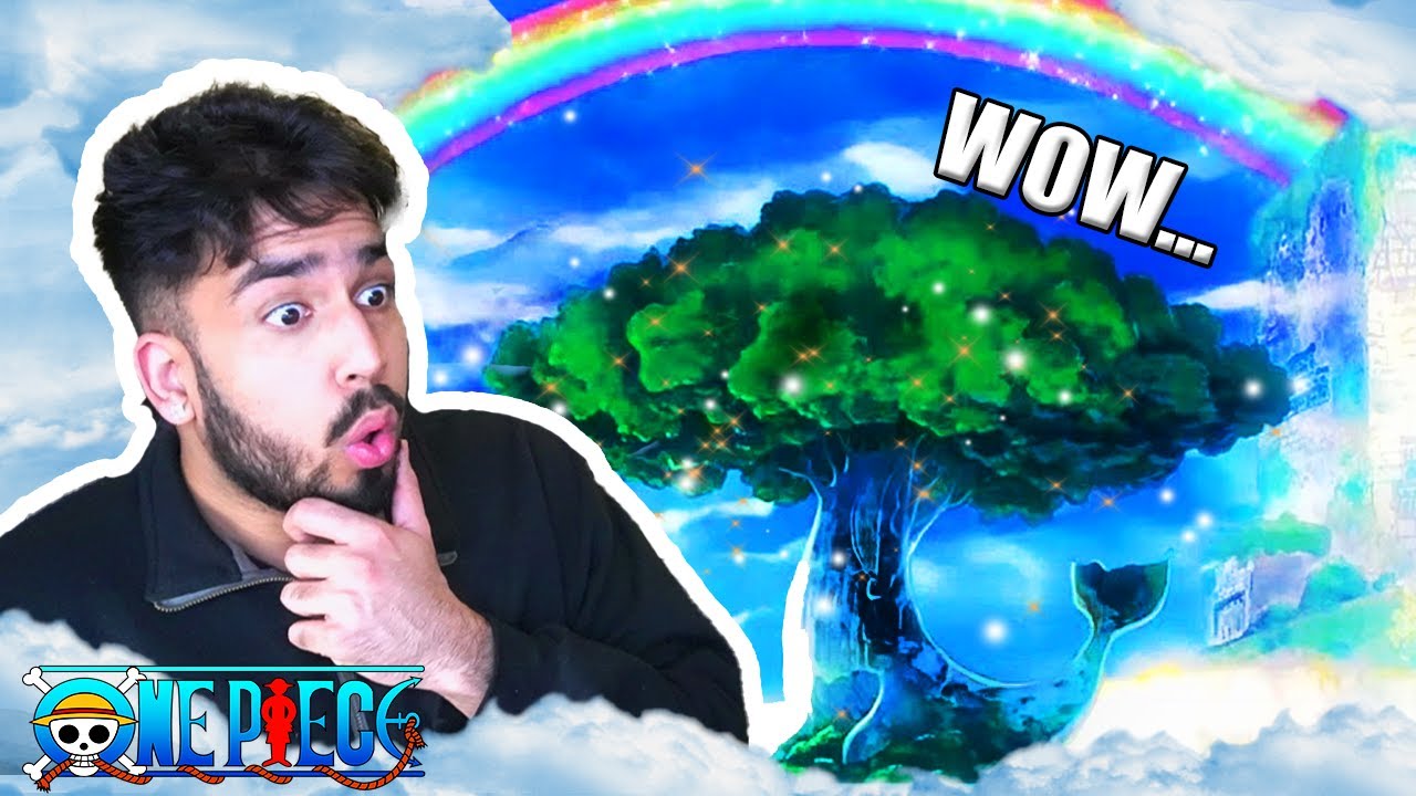 I GOT GOOSEBUMPS! | Anime Hater Reacts To The BREATHTAKING World Of One Piece !!! |