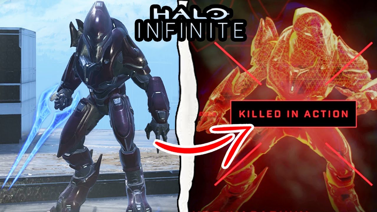 Halo Infinite - What Happens if You Kill the Blademaster? (Halo Infinite Secrets)