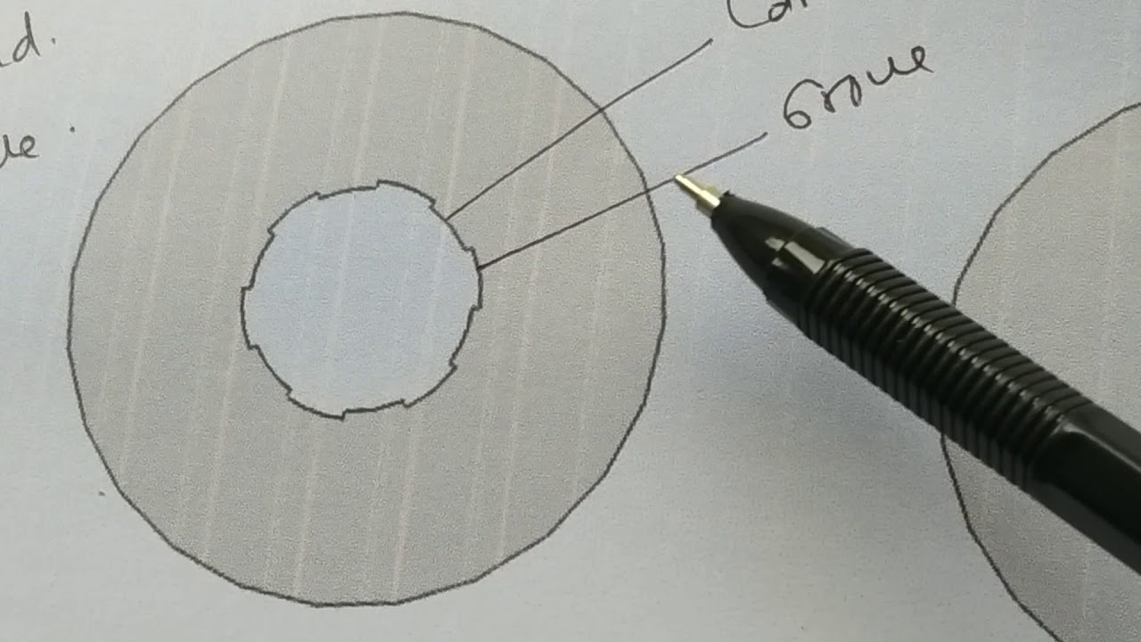 Perbandingan laras alur 12 (standart), alur 6 dan polygon