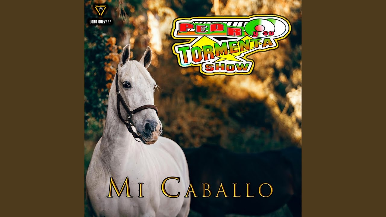 Cumbia de los 9 Hermanos