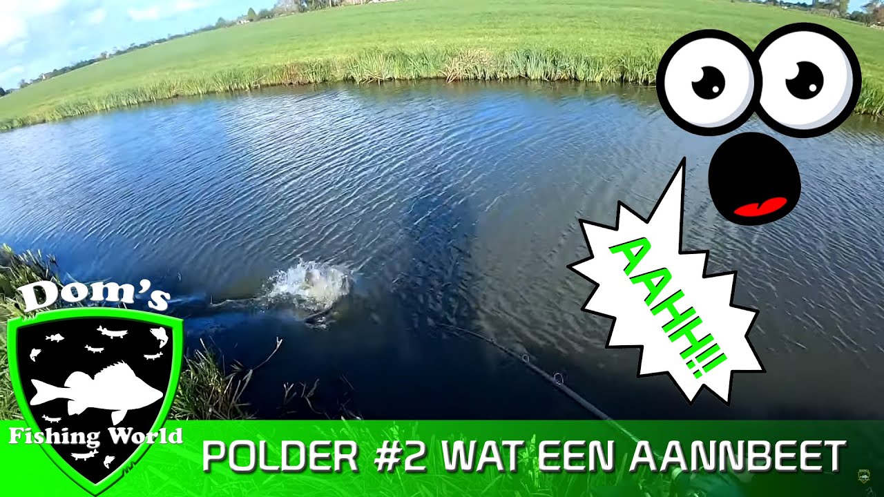 Snoekvissen In De Polder pt 2! Snoeken met kunstaas! #PIKEFISHING