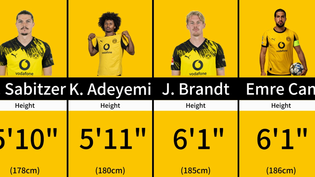 Borussia Dortmund Players Height Comparison