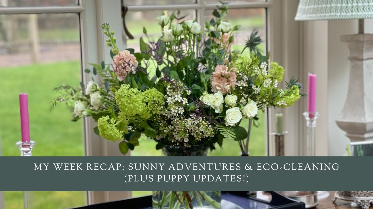 My Week Recap: Sunny Adventures & Eco-Cleaning (Plus Puppy Updates!)