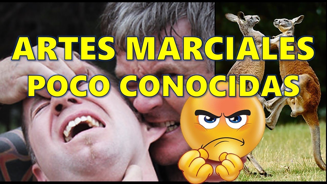 LAS 7 ARTES MARCIALES EXTRAÑAS 📛 PERO LETALES