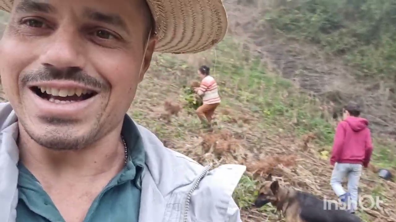 Passeio na Roça - Arrancando Feijão
