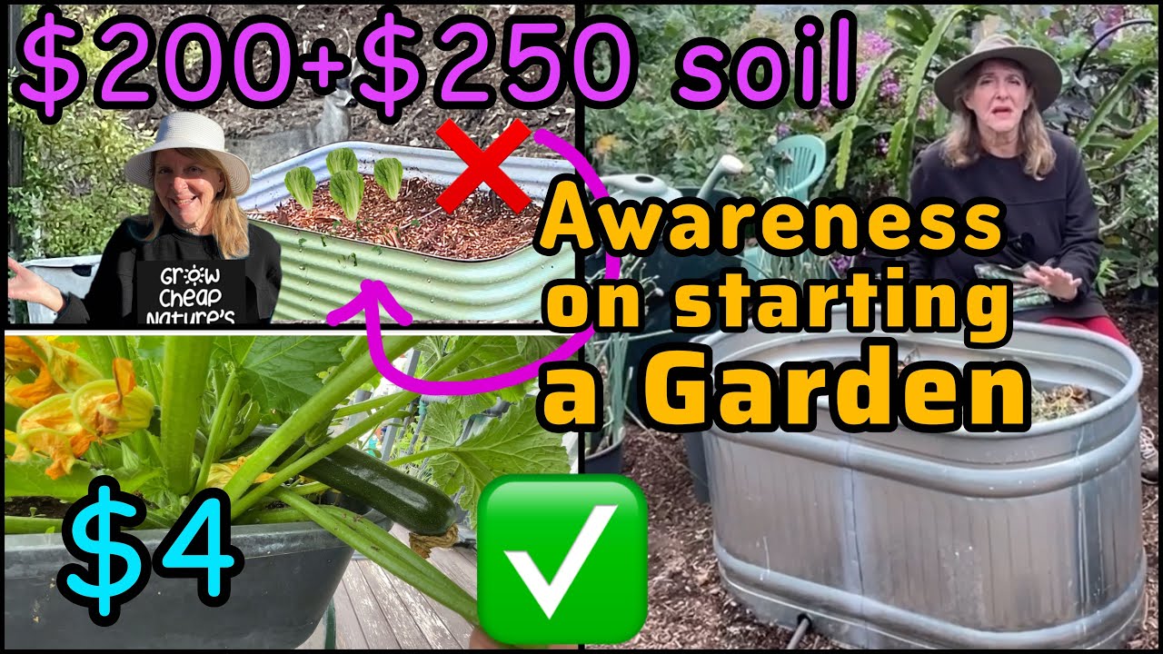 What They Don't Tell YOU on Raised Garden Beds vs CHEAP Container Gardening EASY Ideas Tips No Tools