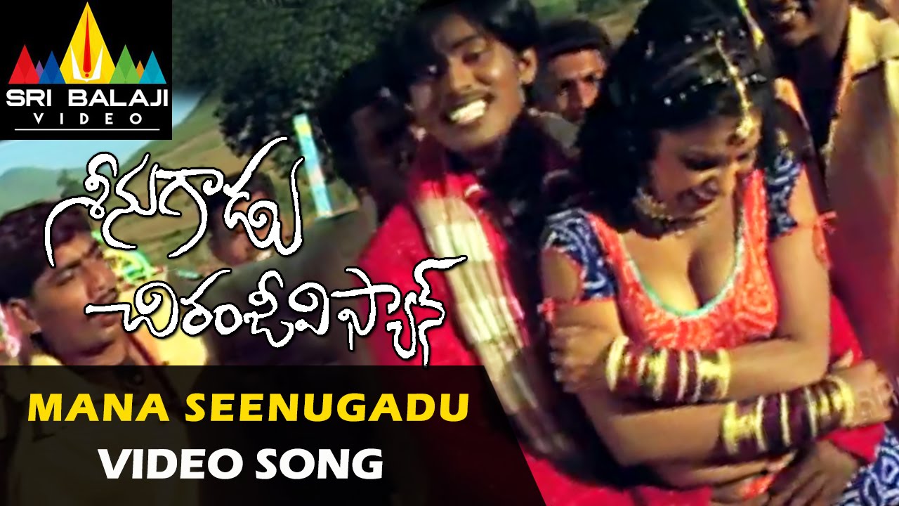 Seenugadu Chiranjivi Fan Video Songs | Mana Seenugadu Bhale Video Song | Vijay Vardhan