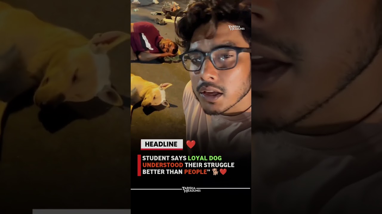 🐕 Loyal Dog Stays With CJP Protesters, Student&rsquo;s Words Go Viral