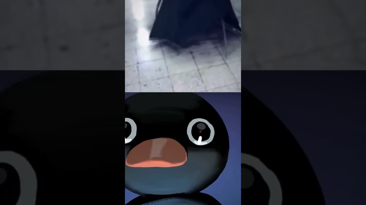 noot noot meme ||#meme #shorts #fyp