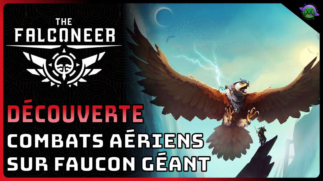 THE FALCONEER - D&eacute;couverte d'un JEU de COMBATS A&Eacute;RIENS ORIGINAL