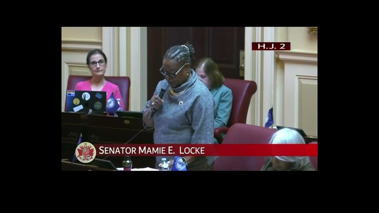 2026 HJ2 passes on Senate floor - Right to Vote Constitutional Amendment 