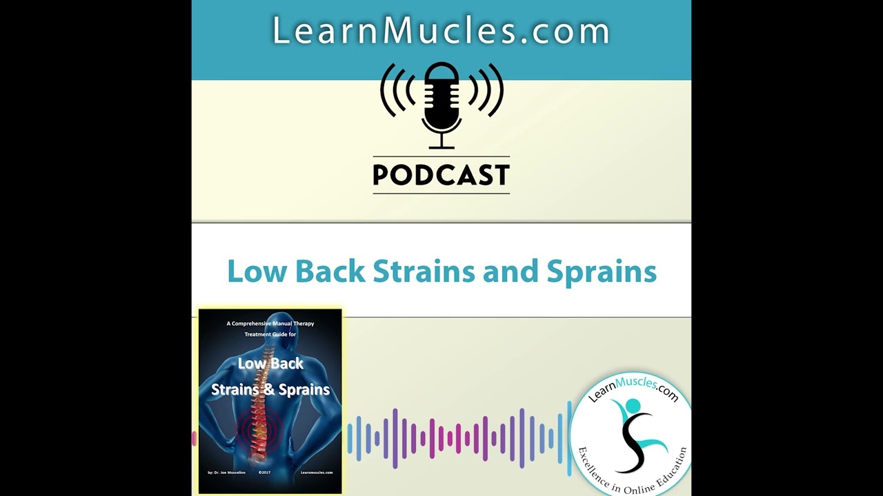 PODCAST   Unlocking Lower Back Pain: Strains vs. Sprains & Quick Fixes