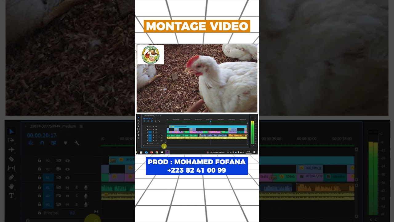 🎥 &Eacute;LEVEUR, VENDEUR : une bonne vid&eacute;o peut TOUT changer ! 💥🐄