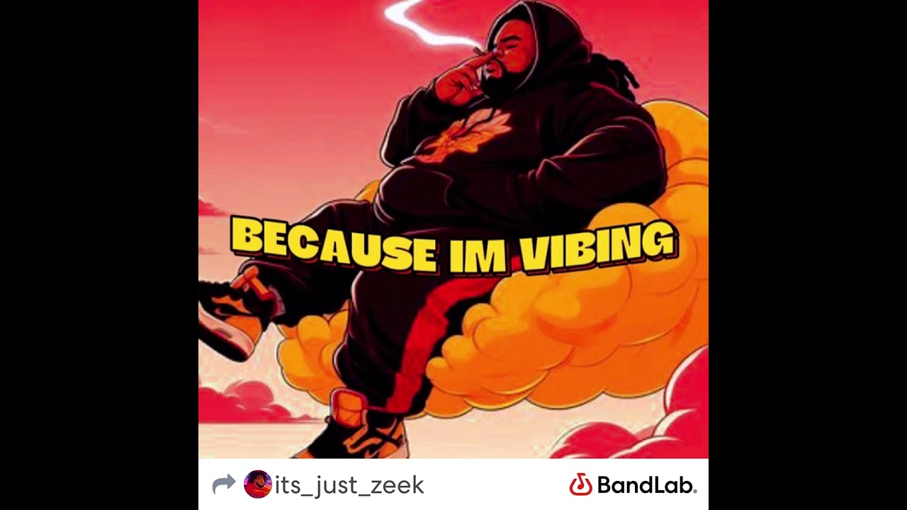 ItsJustZeek-Because I&rsquo;m Vibing
