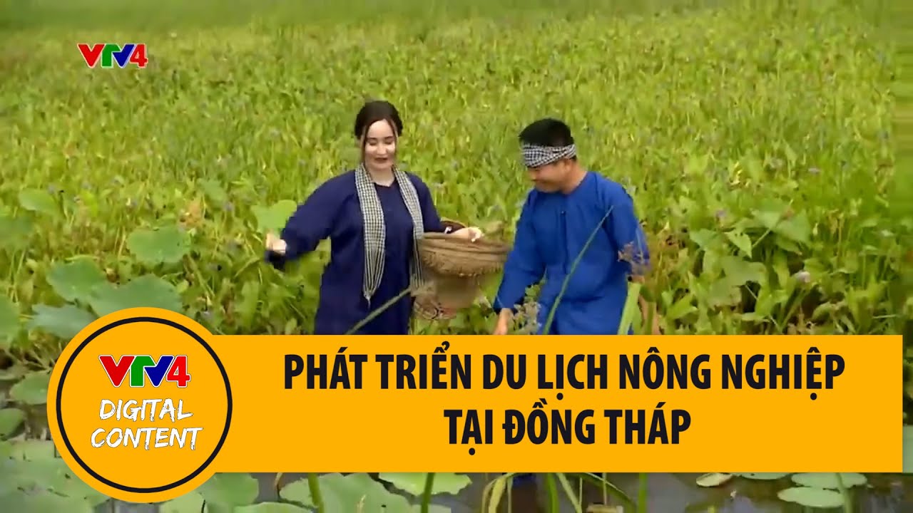 Phát triển du lịch nông nghiệp tại Đồng Tháp | VTV4