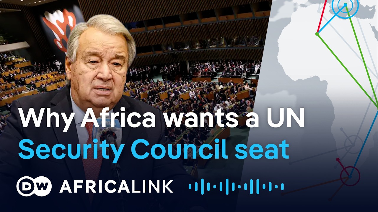 Africa's push for a permanent UN Security Council seat