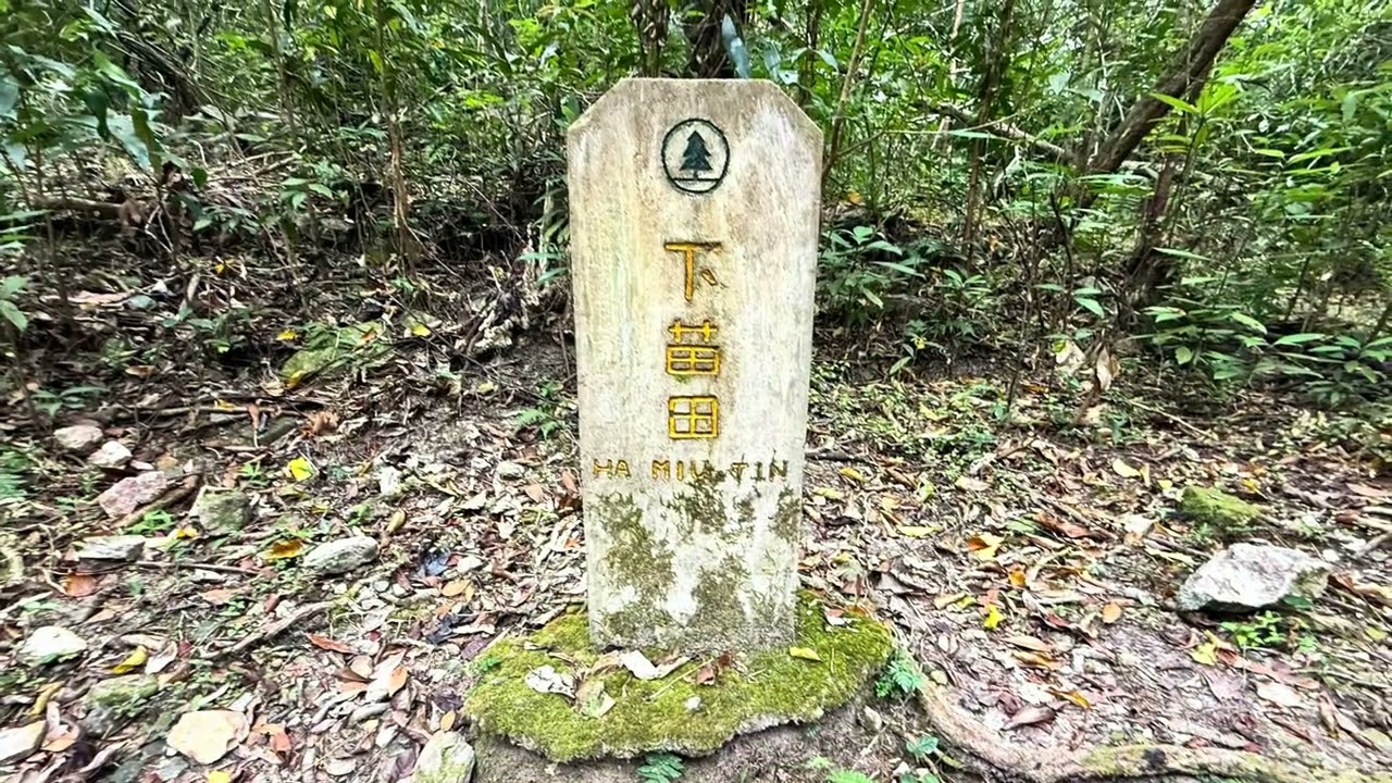 山中人：烏蛟騰-印洲塘郊遊徑/苗三古道-迷椏走廊-紅石門-船灣淡水湖郊遊徑-苗三古道/印洲塘郊遊徑-烏蛟騰 2026-02-15