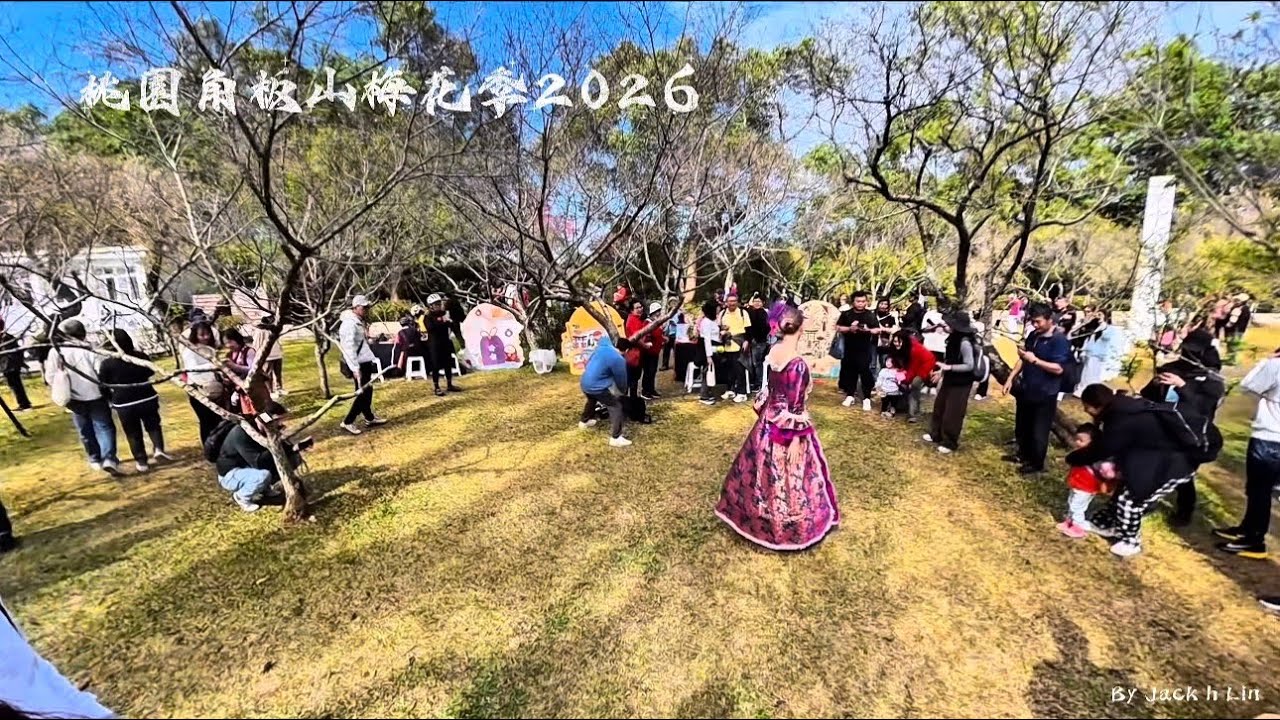 桃園角板山梅花季