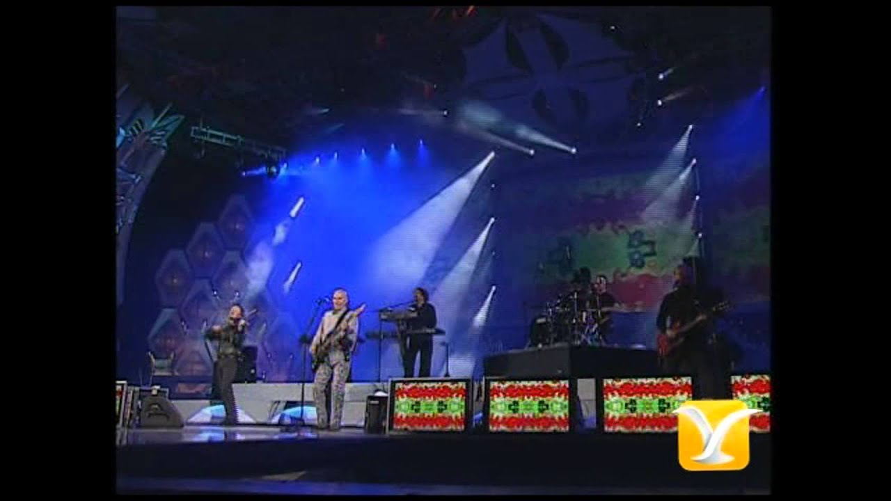 The Orchestra, Confusion, Festival de Vi&ntilde;a 2005