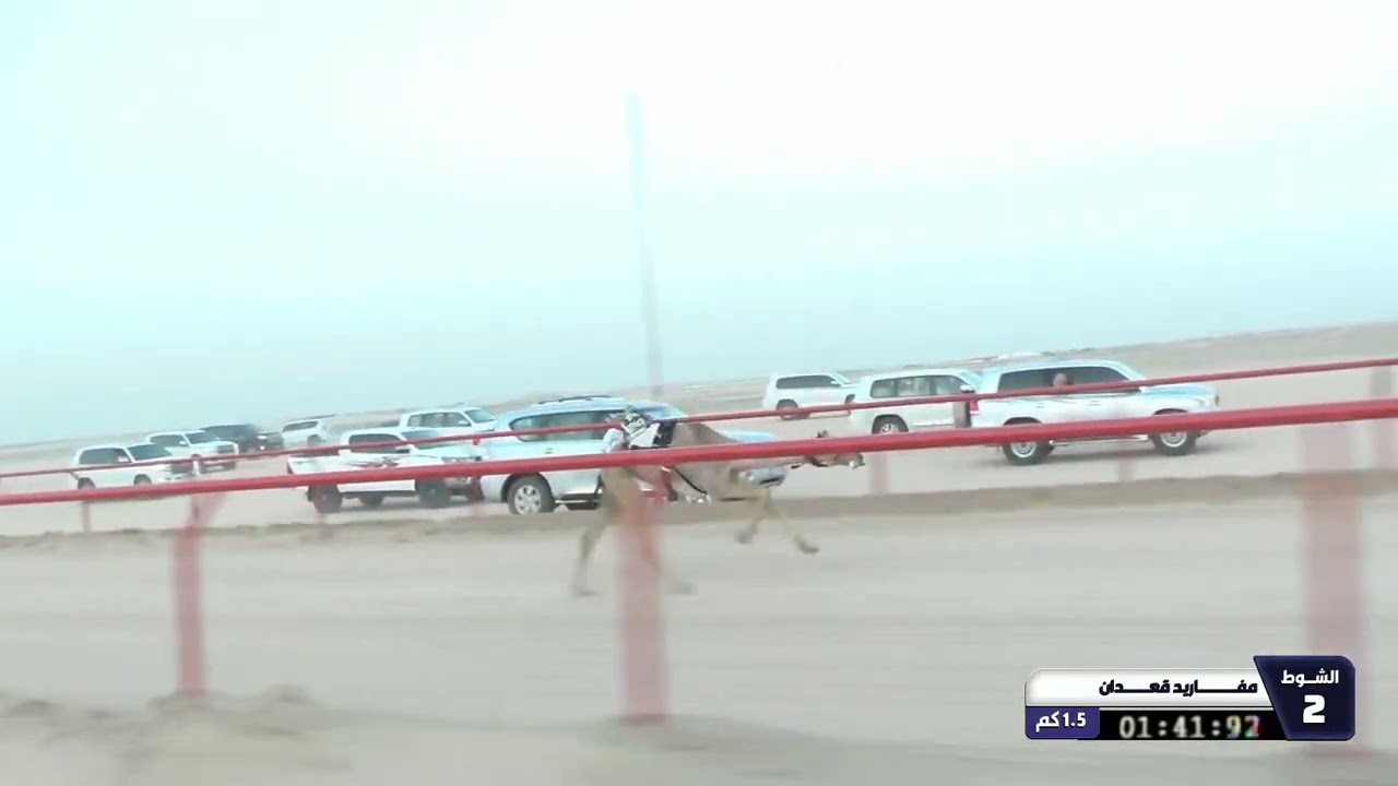 2 الشوط الثاني مفاريد قعدان السبت 28 02 2026