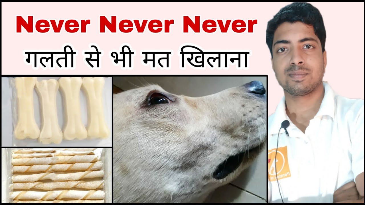 Puppy care tips : Must watch before feeding calcium bones to your Puppy