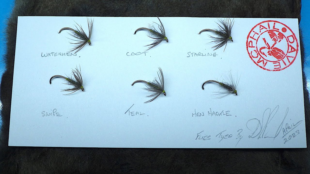 Substitute Feathers for Tying the Waterhen  Bloa..