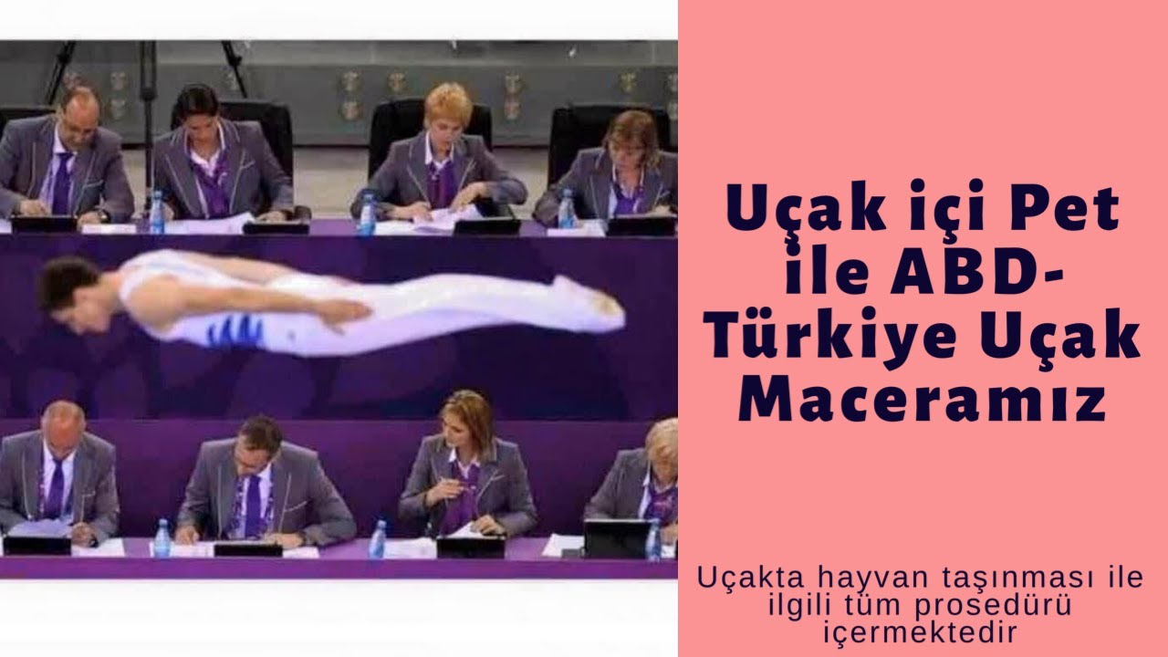 UÇAK İÇİ EVCİL HAYVAN İLE AMERİKA TÜRKİYE ARASI UÇAK YOLCULUĞU MACERAMIZ (evcil hayvan prosedürü)
