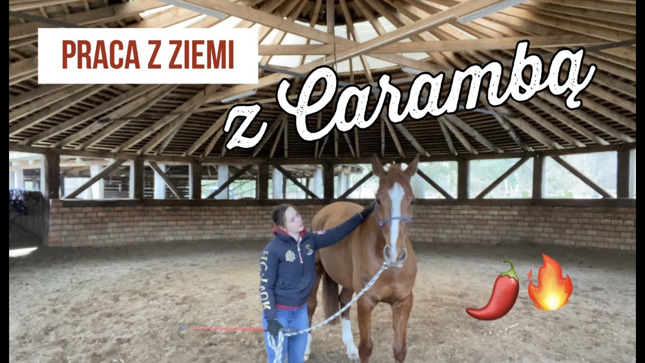 Praca z ziemi z CARAMBĄ 🌶️ Nasz pierwszy raz