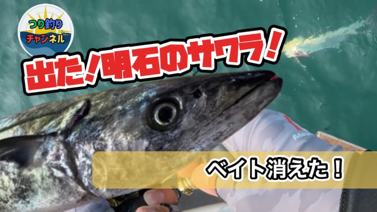【明石 ジギング】渋すぎ…ベイトもパターンもない日、それでもサワラ！