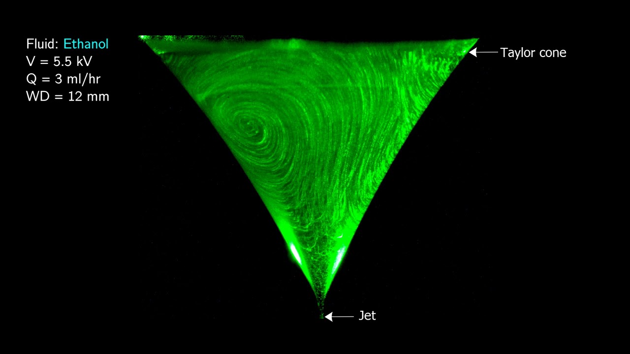 Stability inside the Taylor cone