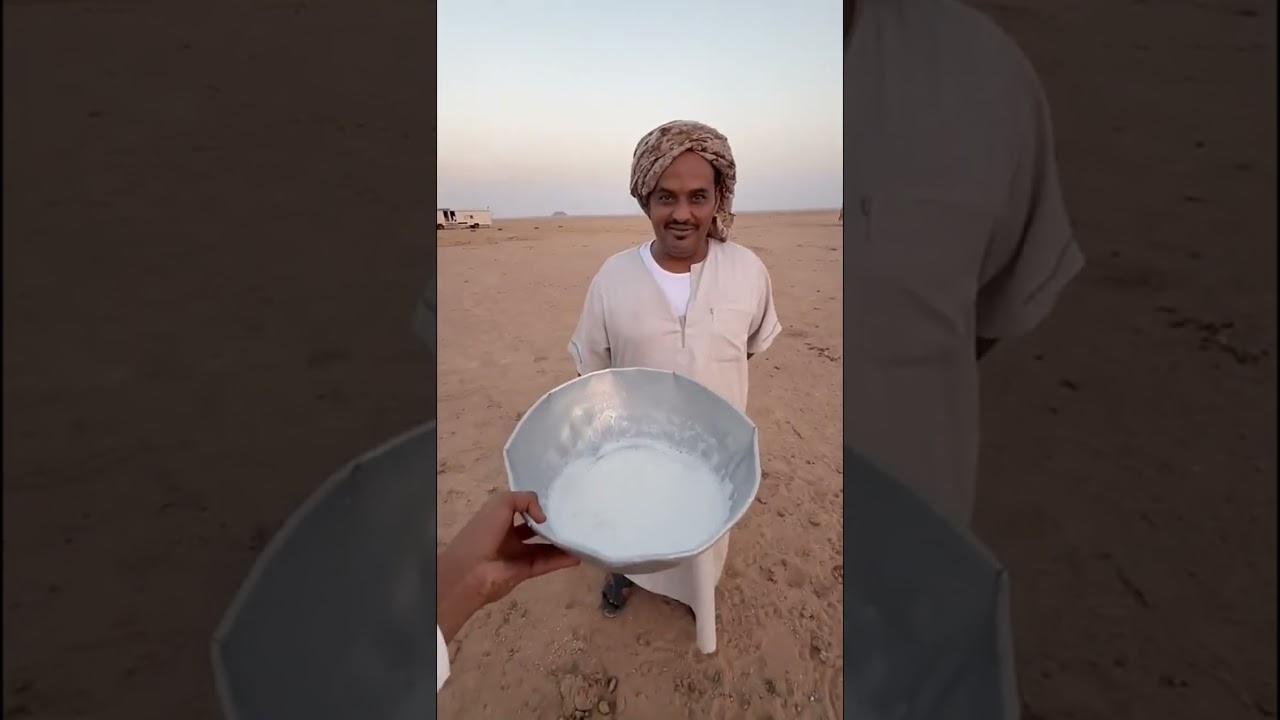 قعيد المجد يحلب الغنم ويطبخ العشاء 😍😂