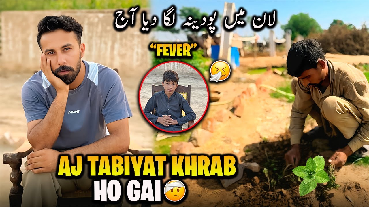 Bukhar Hogya Muje or Jattu ko🤒 لان میں پودینہ لگا دیا آج 
