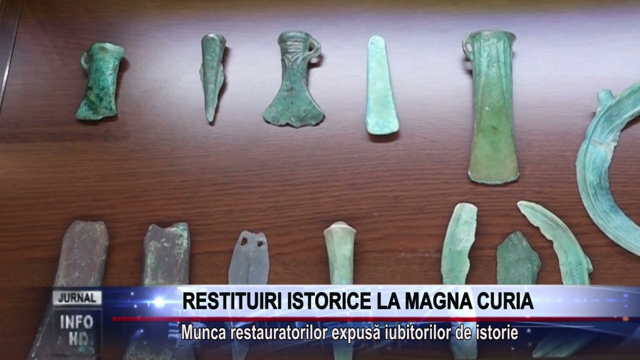 RESTITUIRI ISTORICE LA MAGNA CURIA cub